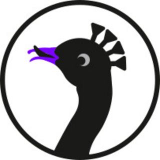 David Schnaegelberger // Die Happy Few