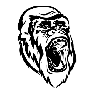 Gorilla-Theaterprogramme e.V.